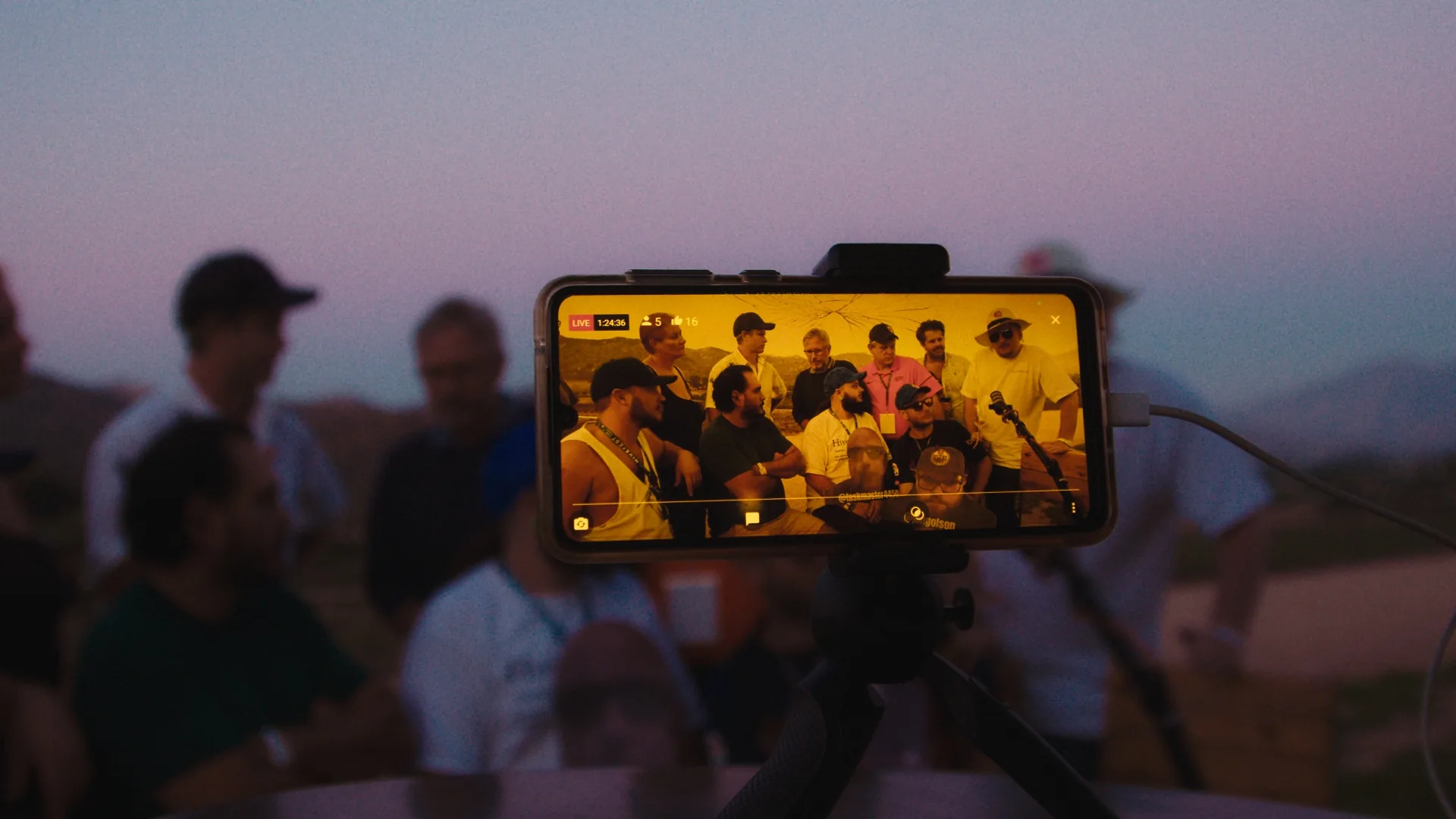 HiveFest — frame 04
